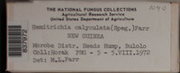 Image Associated With the Occurence